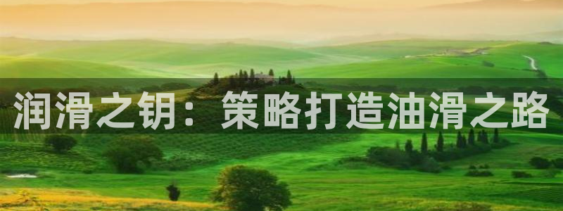 必赢国际的网站多少