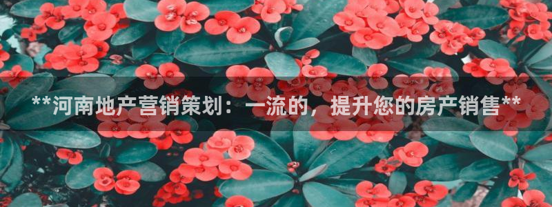 必赢下载软件