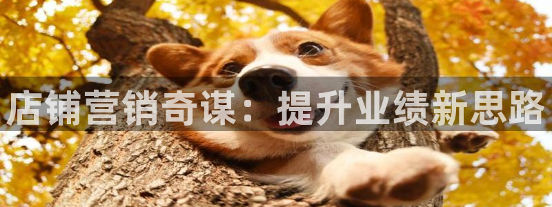 必赢下载苹果手机app