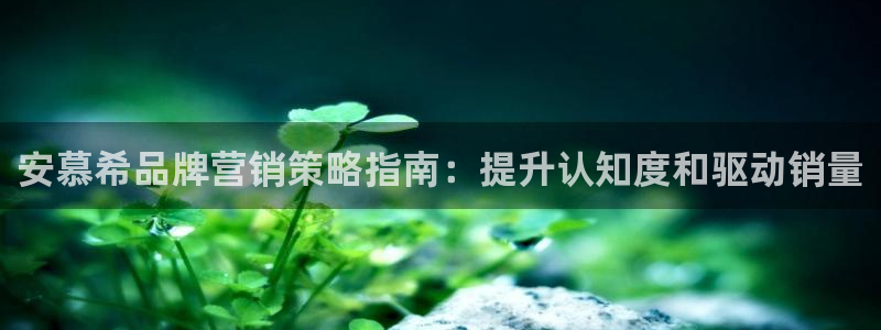 必赢国际软件下载