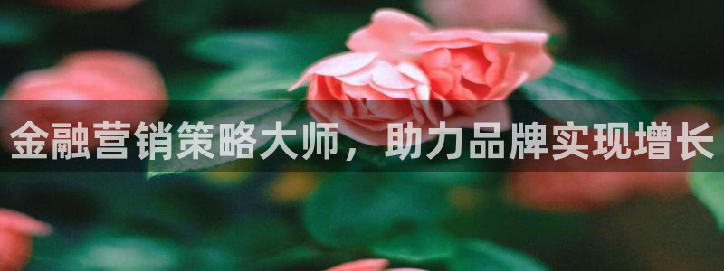 必赢国际437网页版
