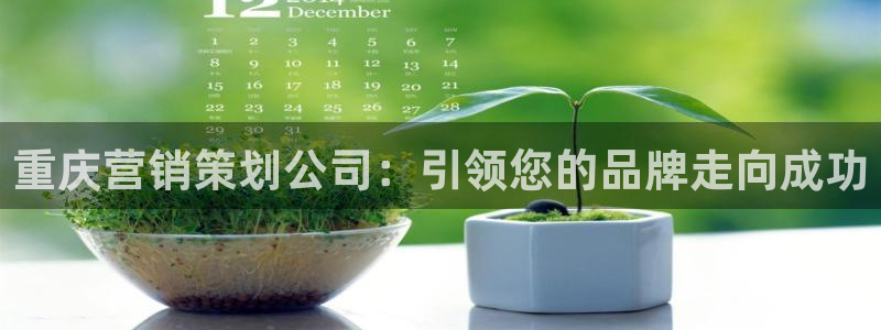 必赢集团winex