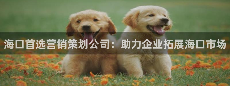 必赢平台怎么样知乎