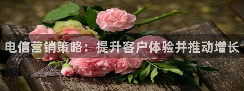必赢亚赢网站官网下载安卓手机