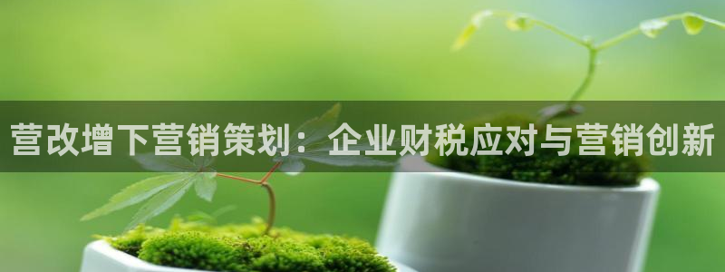 必赢集团网站首页