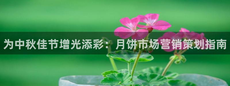 必赢bwinapp