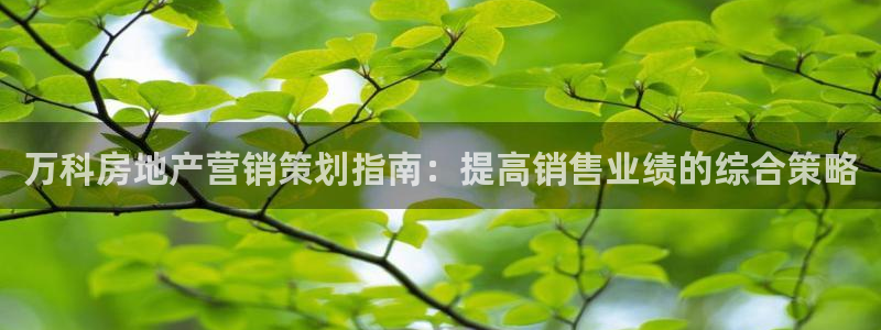 亚洲必赢官网