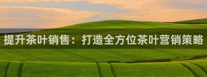 必赢网络游戏平台