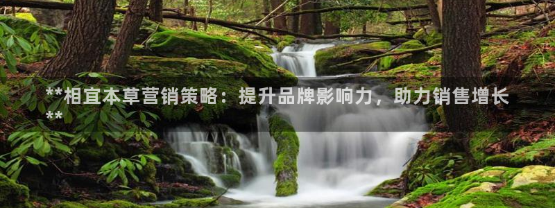 必赢网址谁知道是真的