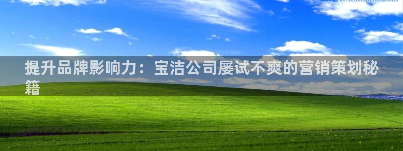 必赢科技北京有限公司