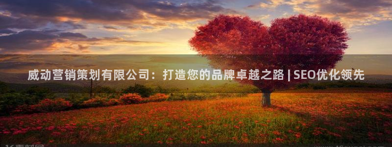 必赢官网网站入口