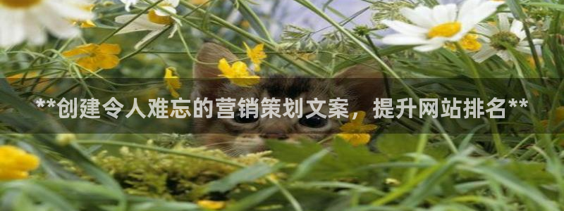 必赢下载安卓版下载