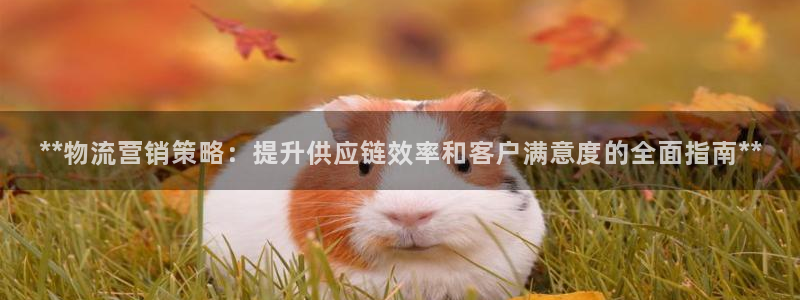 9965必赢游戏app大全