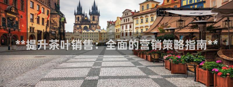 必赢国际a600典ccapp