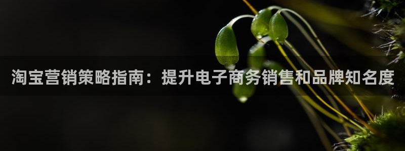 必赢的意思是什么