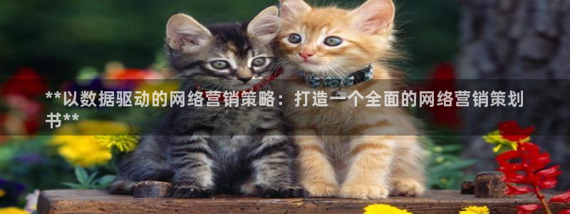 数30技巧必赢三个数