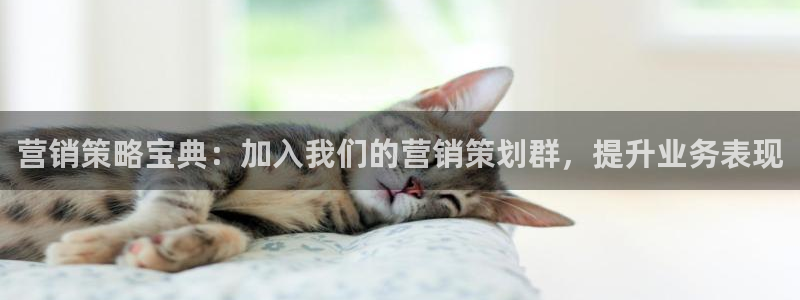 必赢手机app下载