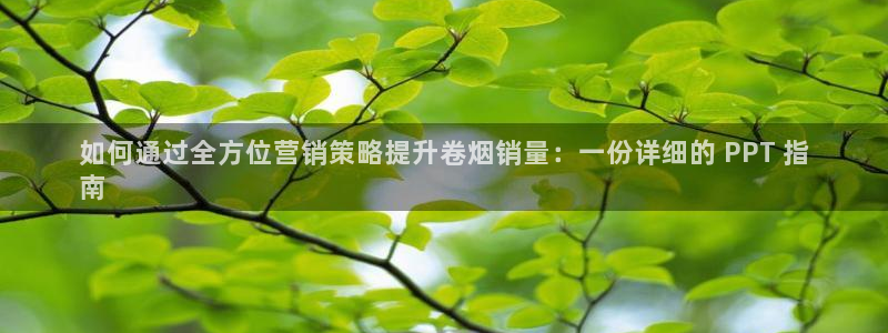 必赢8833扑鱼
