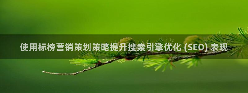 必赢这个软件怎么样