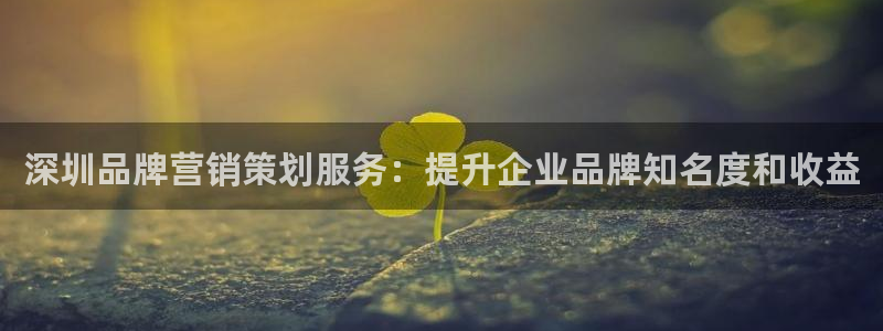 必赢7231
