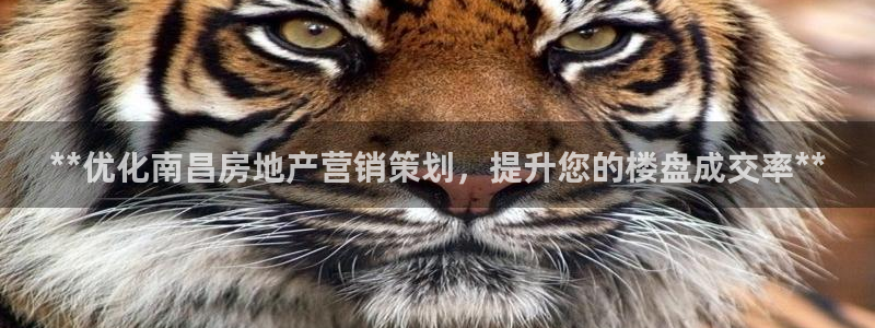 必赢宝app软件下载