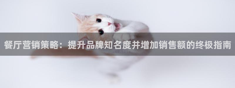 必赢3003必赢贵族宾会