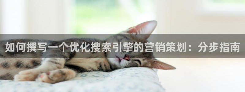 9965必赢游戏版本