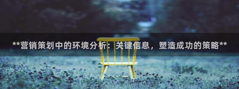 必赢科技中国有限公司