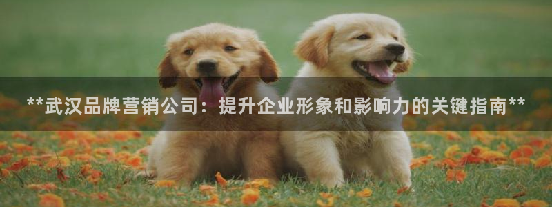 必赢下载ipad