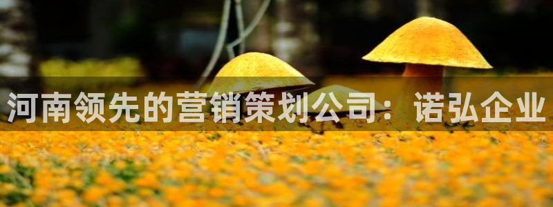 必赢亚赢网站官网下载
