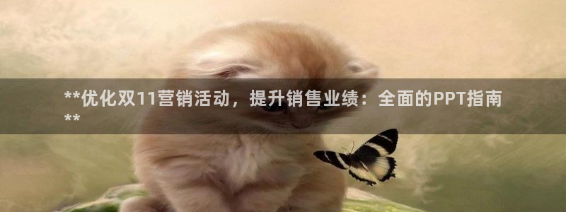 必赢国际437app下载