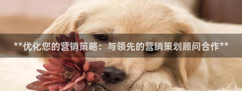 必赢科技