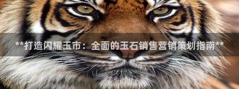 73882必赢app下载