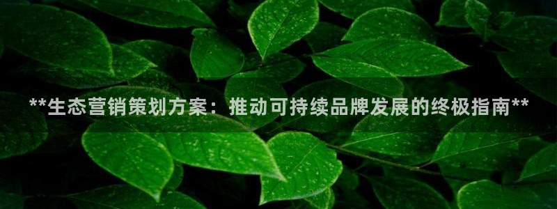 必赢72886后面字母是多少