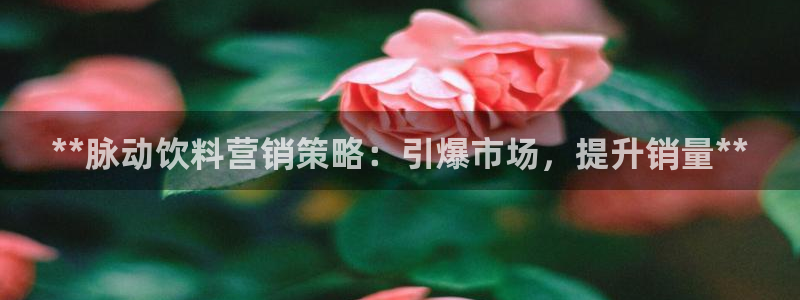 必赢565net官网