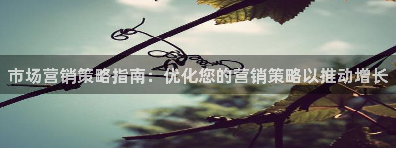 必赢网站网址是多少