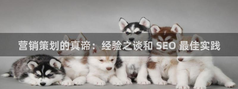 必赢官网app下载安装最新版苹果