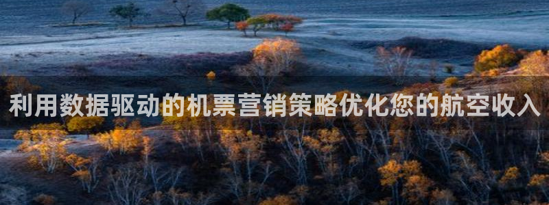 必赢下载