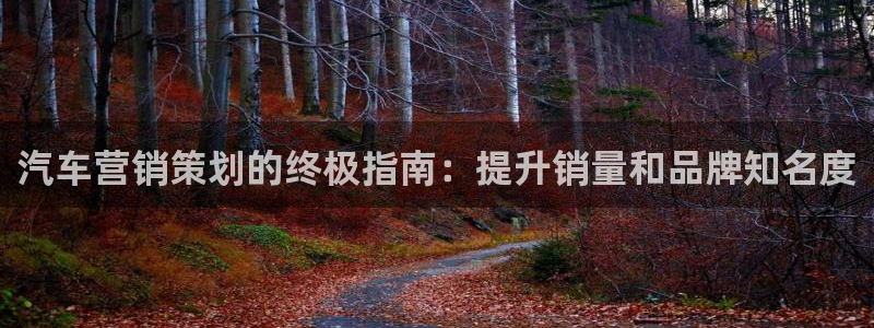 必赢国际的网站多少