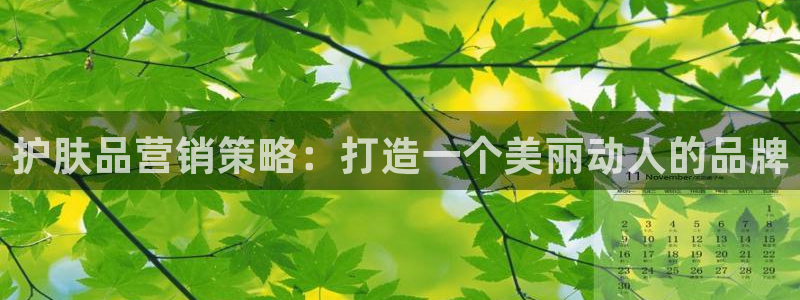 必赢平台官方电话