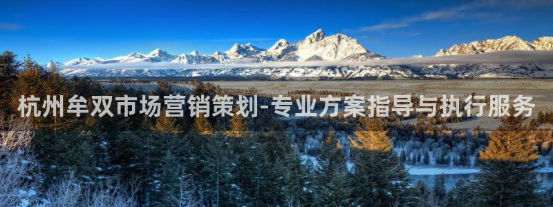 必赢网站mg冰球突破豪华版