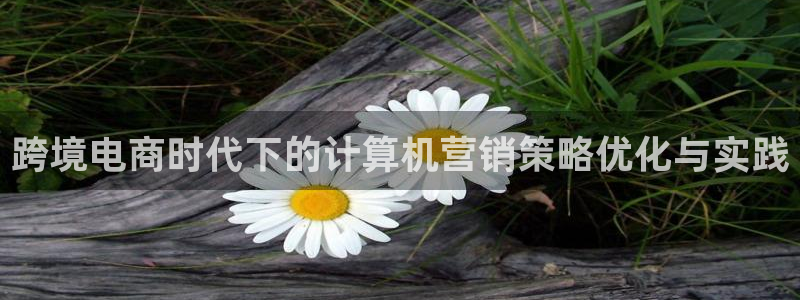 必赢资讯下载