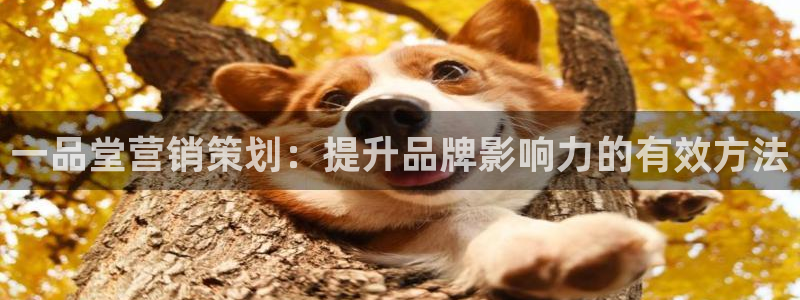 必赢国际儋州社区