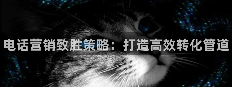 必赢8833扑鱼
