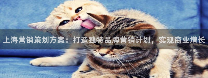 必赢这个平台怎么样知乎