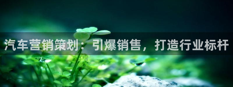必赢官网网站首页下载