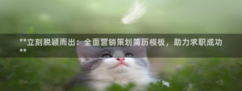必赢app客户端下载