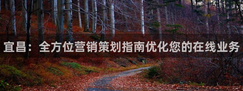 必赢72886后面字母是多少