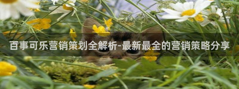 必赢888国际集团