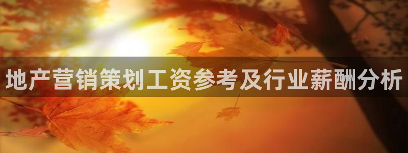 必赢必赢